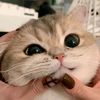 phoopwintchanmyaezaw29