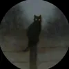 romanzygin01