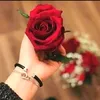 1q2w3e4r5t743