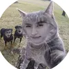 leeknows_forth_cat