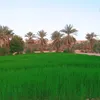 houda.amer6