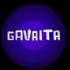 gavaita