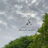 hessaalsaad5