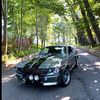 eastcoast_eleanor