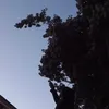 the.oneusee