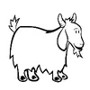 Chuckling Goat