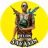 Pelon sayayin👴