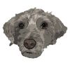 whiskiedog