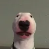 justmarkmaster