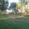 elenyoliveira01