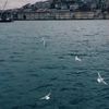 hanen_285