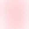 kittya7_