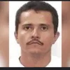 nobodyguzman