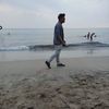 barze_anzeloe
