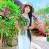 lanthanh291