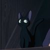 its.pupa