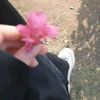 fulanah_63