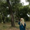 zlf_ayla