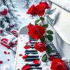 hadeel90omer