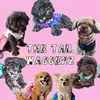 thetailwaggerz