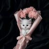 mongki_13o4u4
