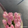 nono_6210