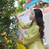 aries.nguyen.2803