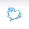 desy_271
