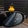 ola_0519