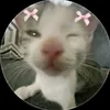 __pp2110__