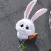 pollygraaay