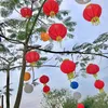 nguynhoa804