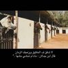 dd6ah
