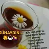 sivasyollarina