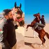 ahmed_awaden96