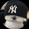 elmer__s