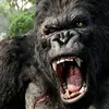 black_kingkong