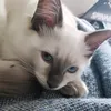 izuvhigh