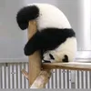 moonchimkookie