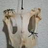 josemariaburdalocalonge