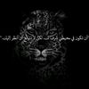 farah50453