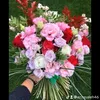 azzasaleh46