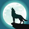 haleemkhan8233
