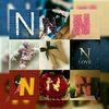 noraashraf86