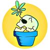 delikatebones