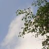 ang_0906