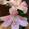 liliaahmatovna