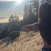 httpsshionnahdotcom