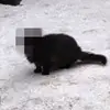 big_liubowski