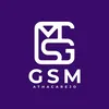 gsm.atacarejo16q4